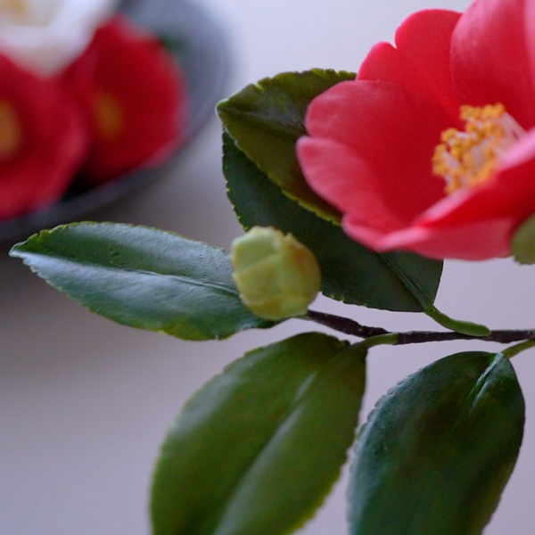 椿のクレイカッター(抜き型)Camellia Cutter