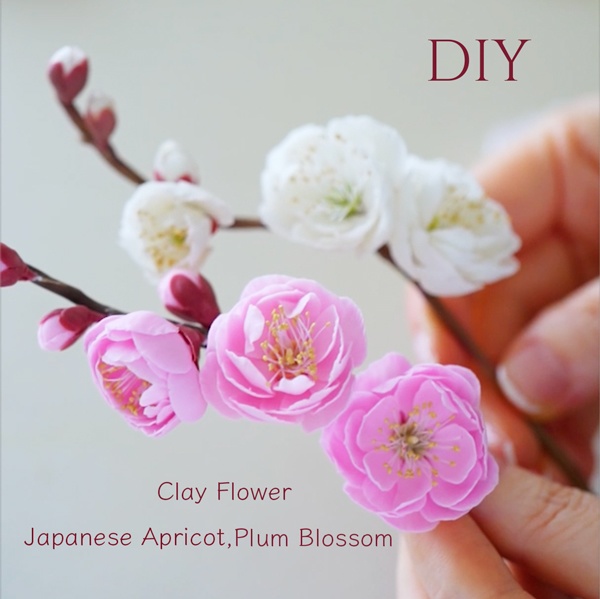 Japanese Apricot /Plum Blossom Cutter 梅の花のクレイカッター