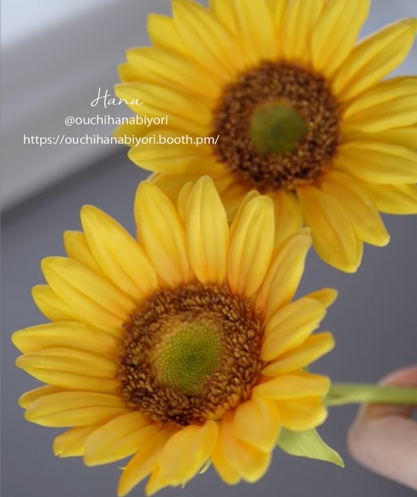 Sunflowr Petal Silicon Veiner ひまわりの花びらベイナー、シリコンモールド