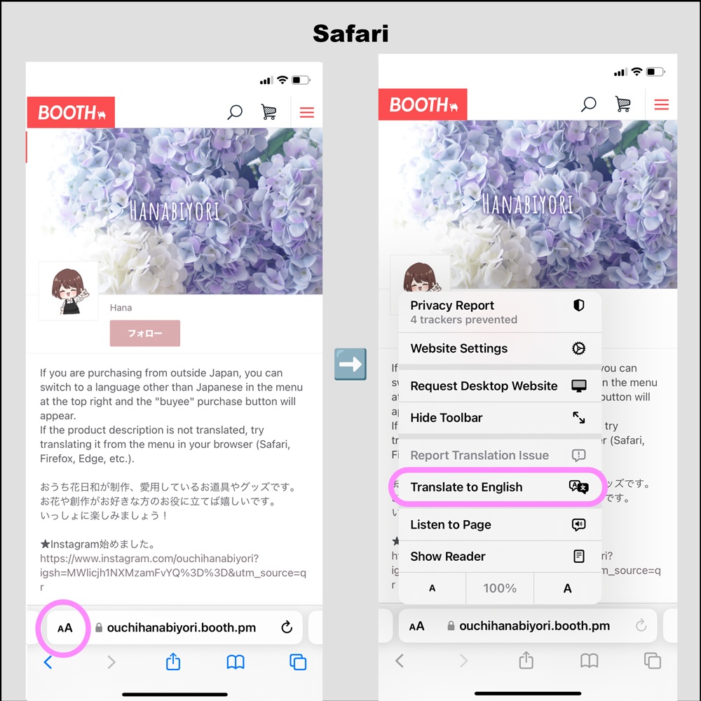 International Shipping Information