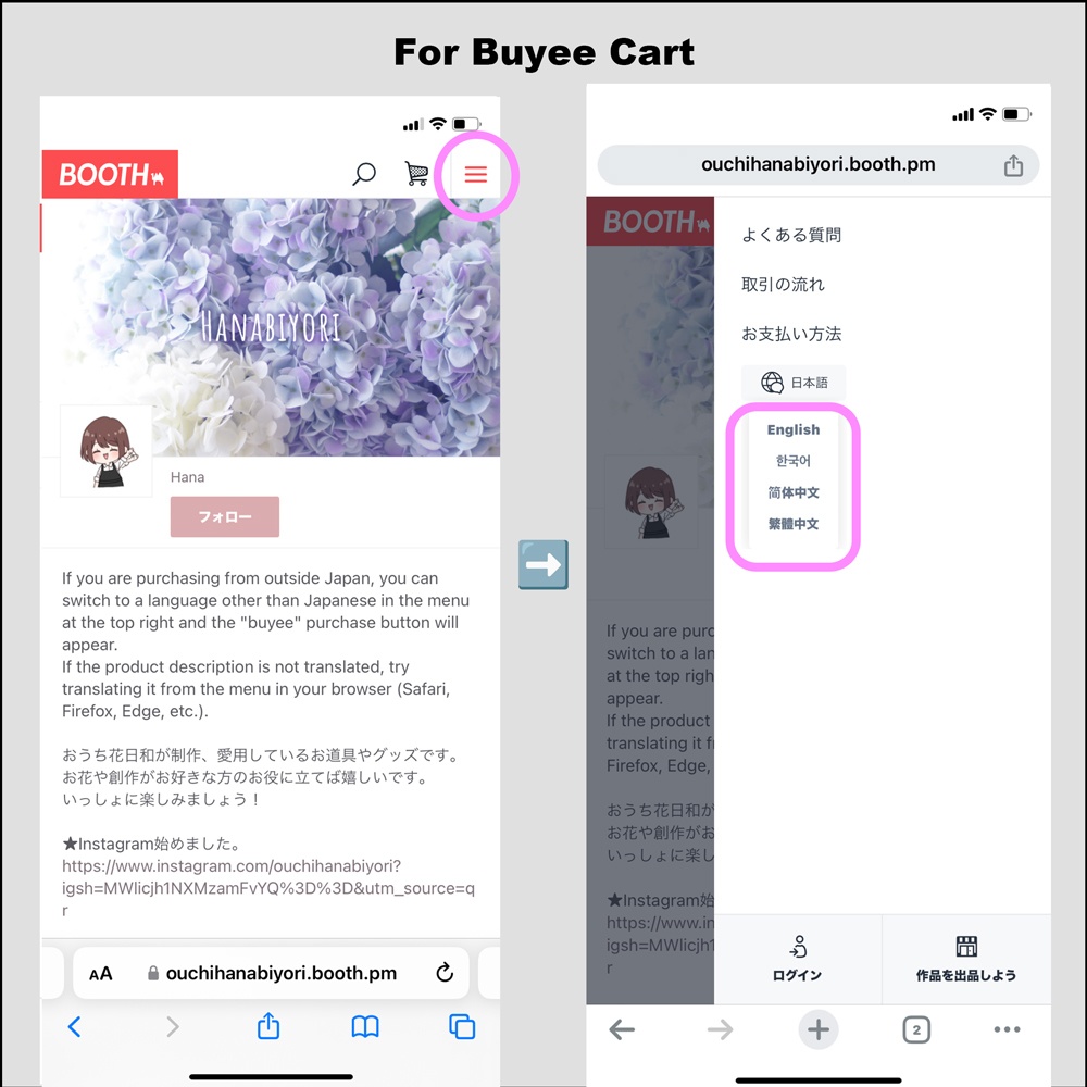 International Shipping Information