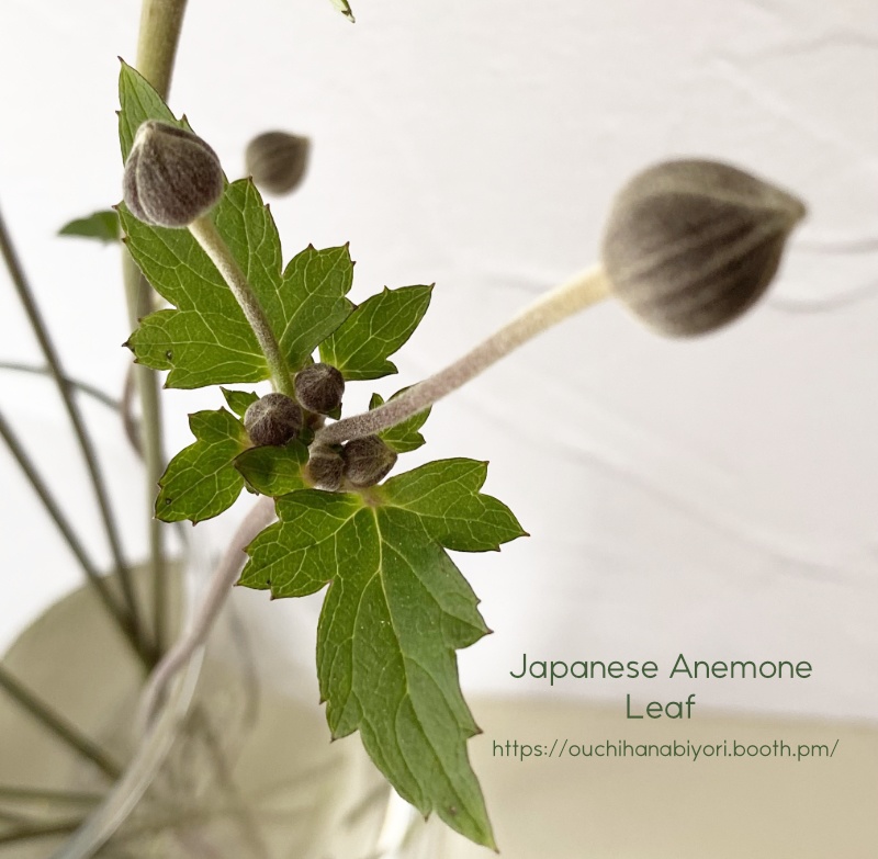 Japanese anemone leaf veiner 秋明菊の葉っぱ モールド ベイナー