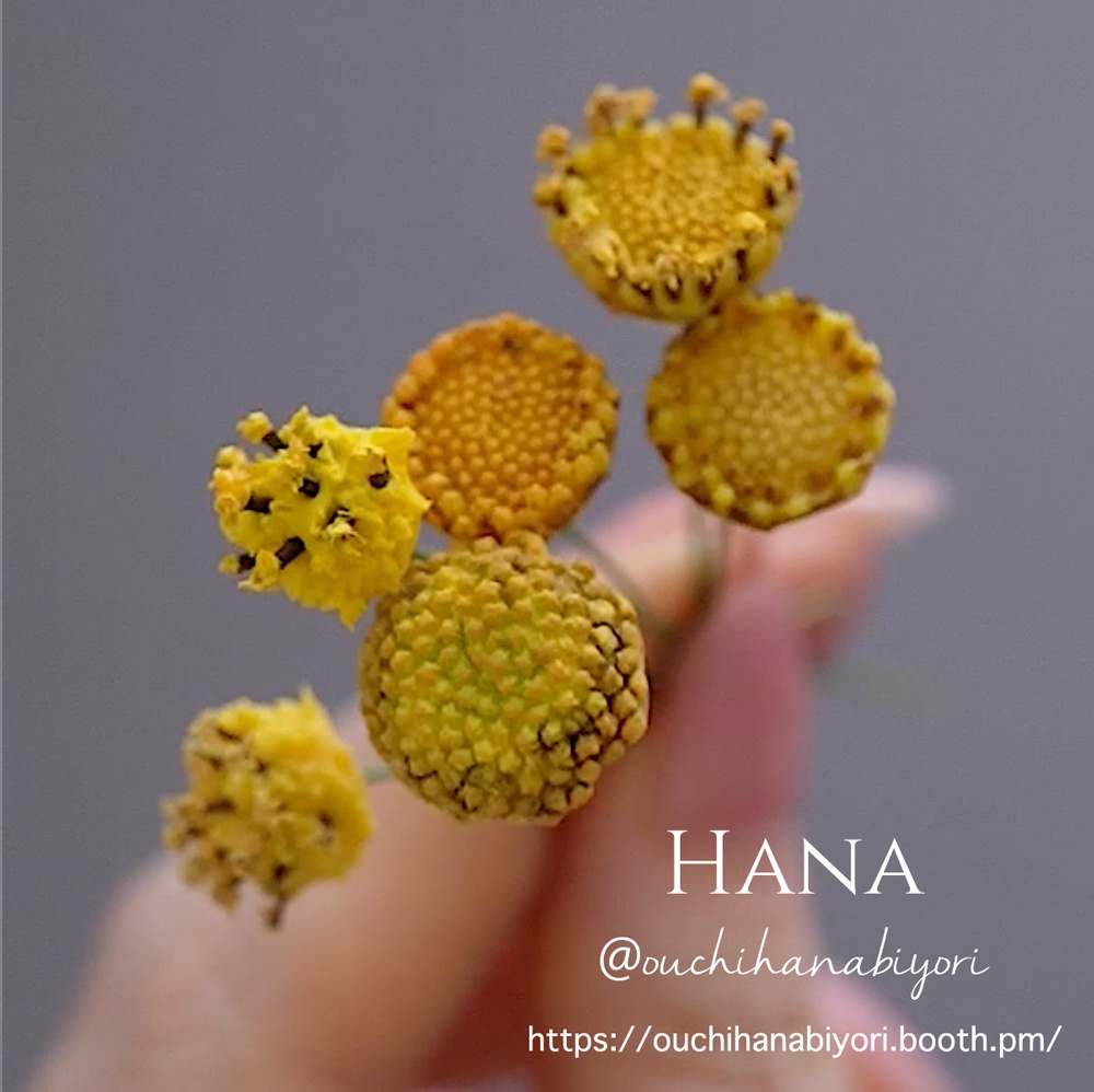 コスモスの花芯モールド Cosmos Flower Center Mold