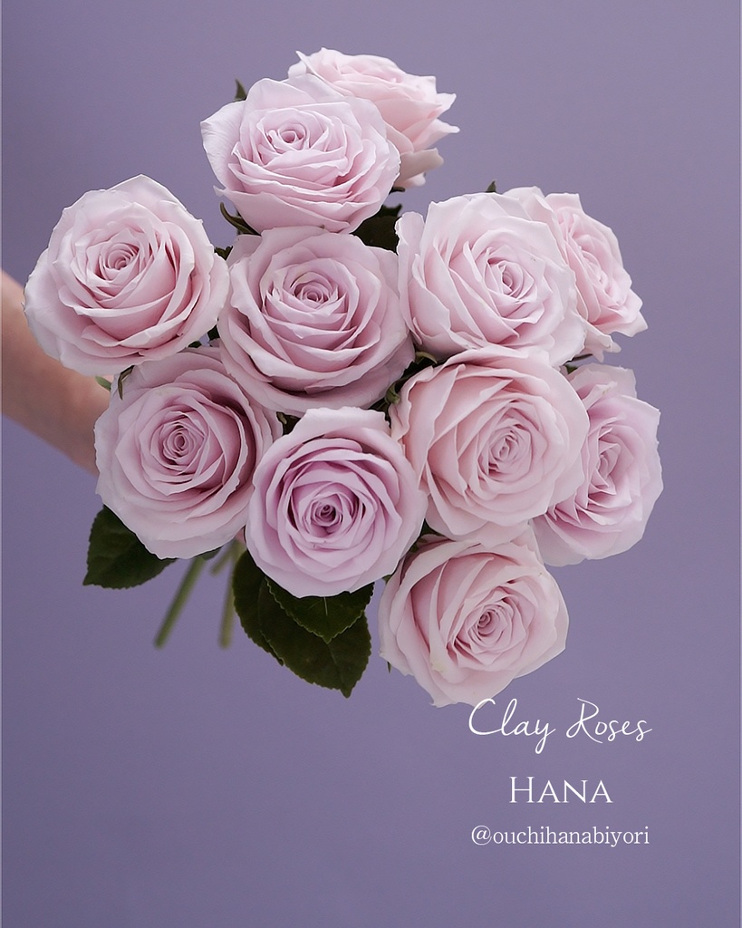 Rose petal veiner mold バラの花びらモールド、ベイナー