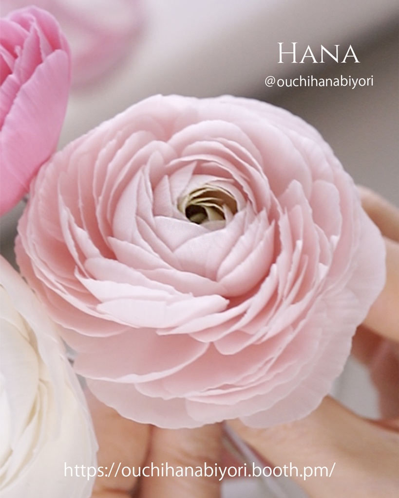 Ranunculus Petal & Sepal Cutter Set (7 pcs)ラナンキュラスのカッター7種類セット