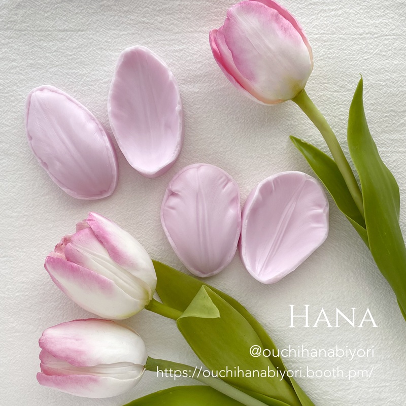 Tulip M チューリップM