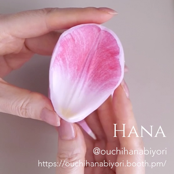 Tulip M チューリップM