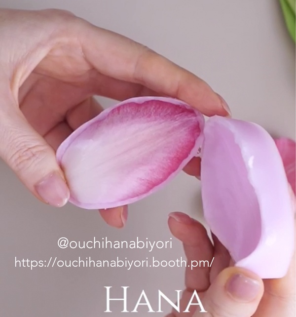 Tulip M チューリップM