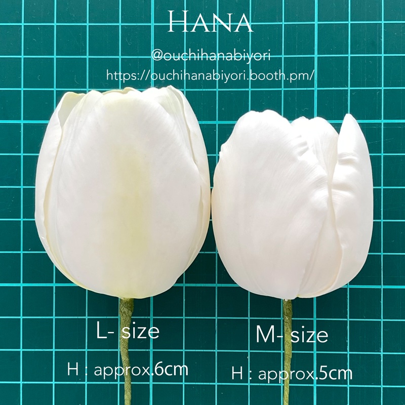 Tulip M チューリップM