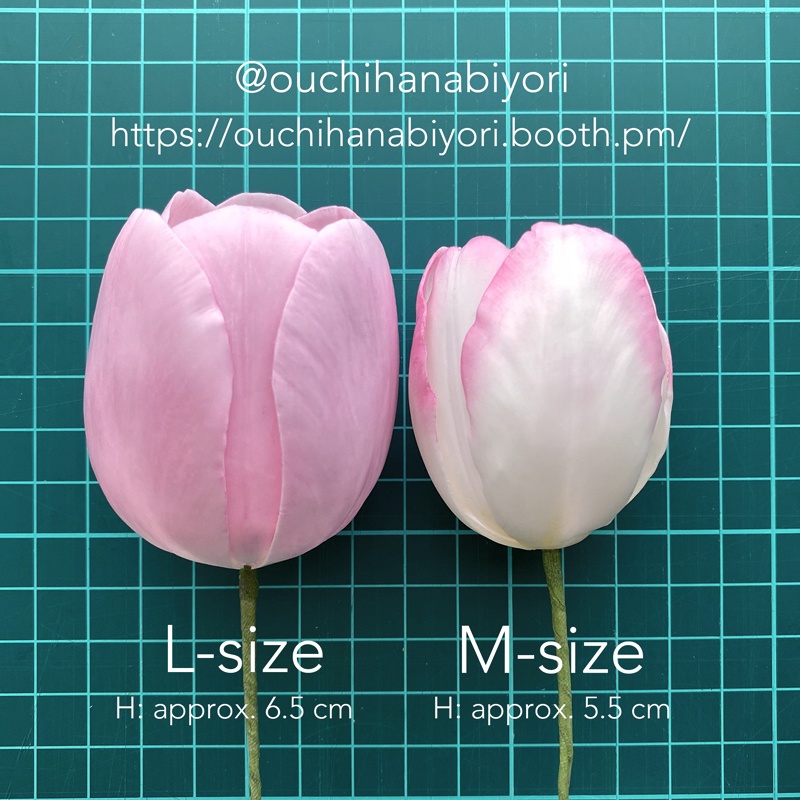 Tulip M チューリップM