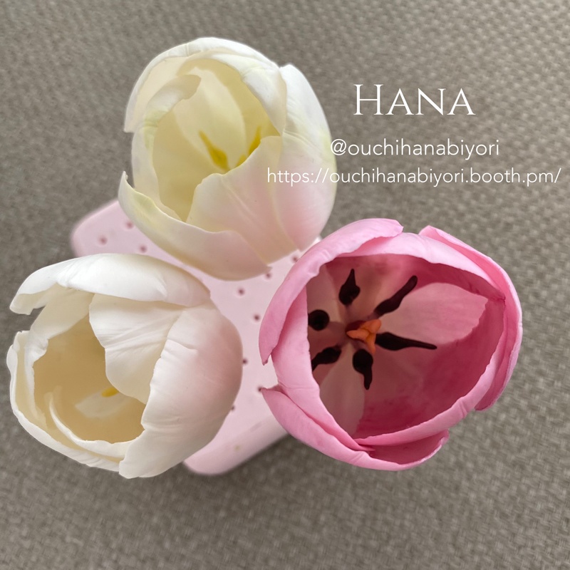 Tulip L チューリップ L