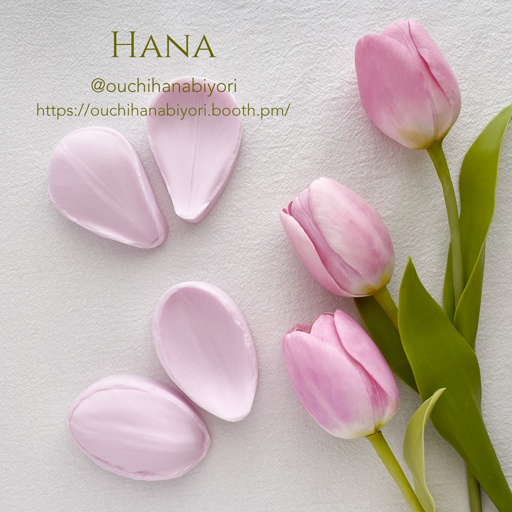 Tulip L チューリップ L