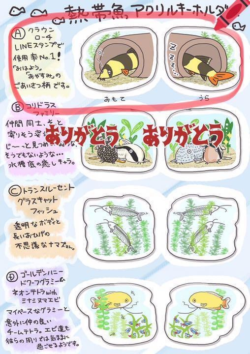 【熱帯魚アクリルキーホルダー】クラウンローチ