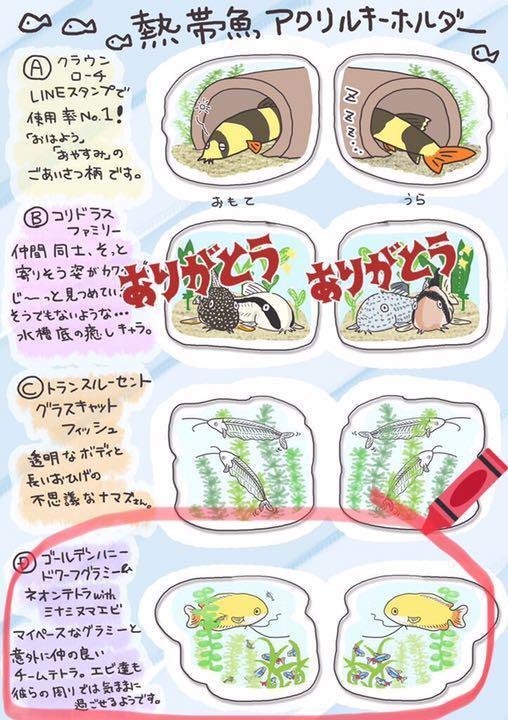 熱帯魚アクリルキーホルダー「ゴールデンハニードワーフグラミー&ネオンテトラwithミナミヌマエビ」