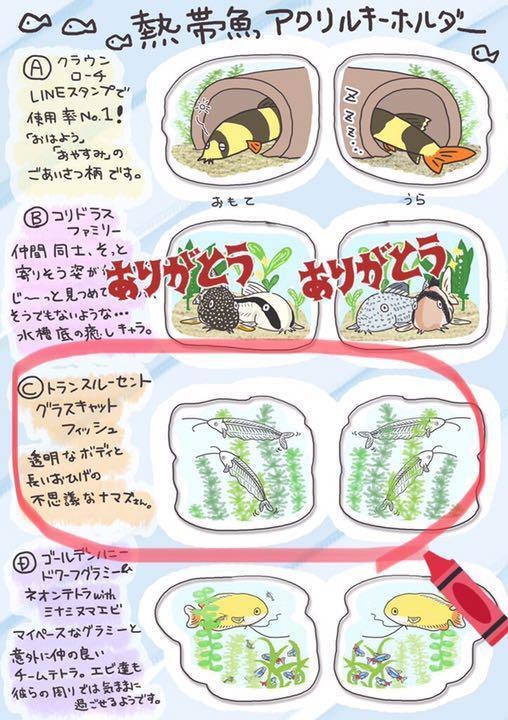 熱帯魚アクリルキーホルダー「トランスルーセントグラスキャットフィッシュ」