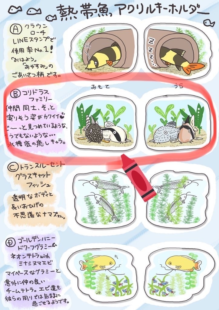 熱帯魚アクリルキーホルダー「コリドラスファミリー」オリジナルグッズ