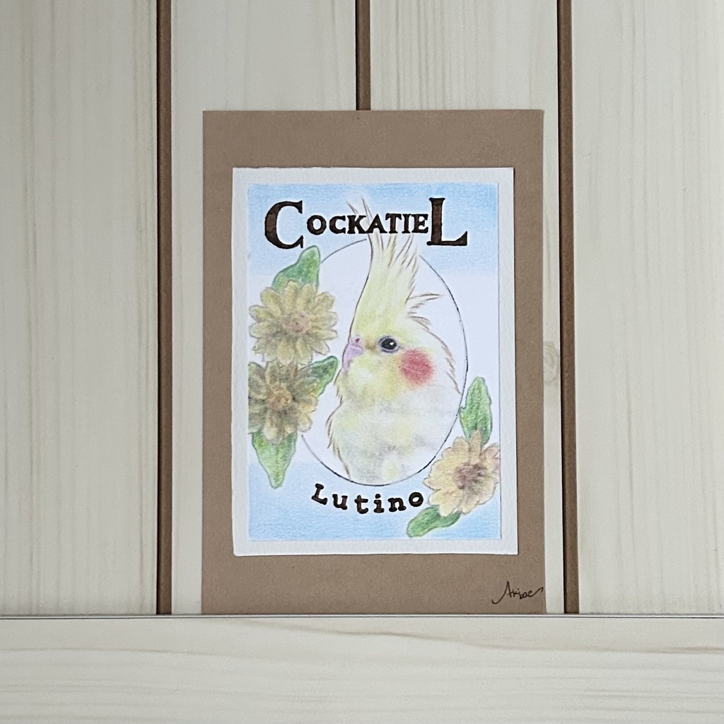 オカメインコ　色鉛筆　ミニ原画