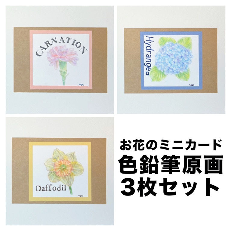 お花　色鉛筆　ミニ原画セット