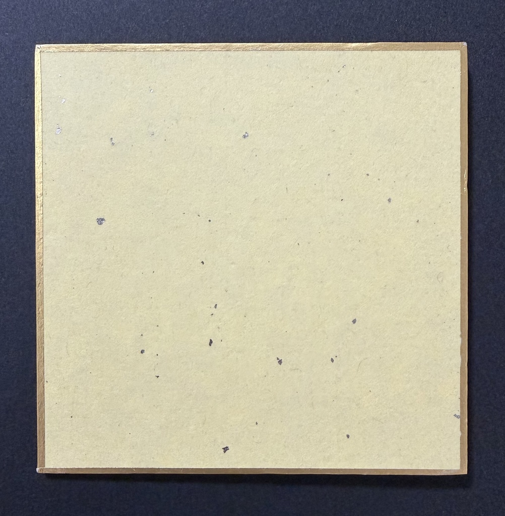 くまの王子様🧸