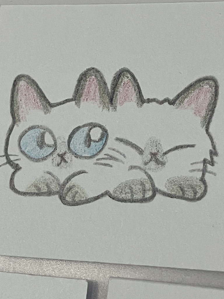 【直筆原画】ねこ5枚セット