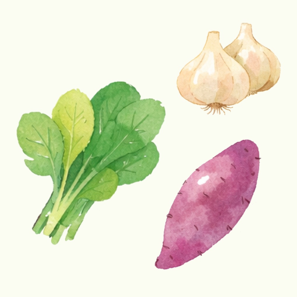 水彩画風ベジタブルイラスト20点パック|SNS・印刷素材に