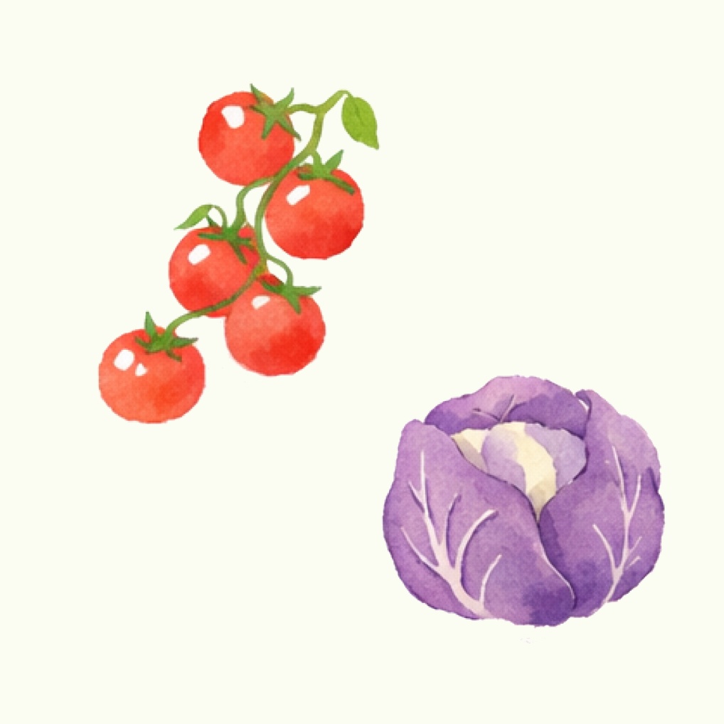 水彩画風ベジタブルイラスト20点パック|SNS・印刷素材に
