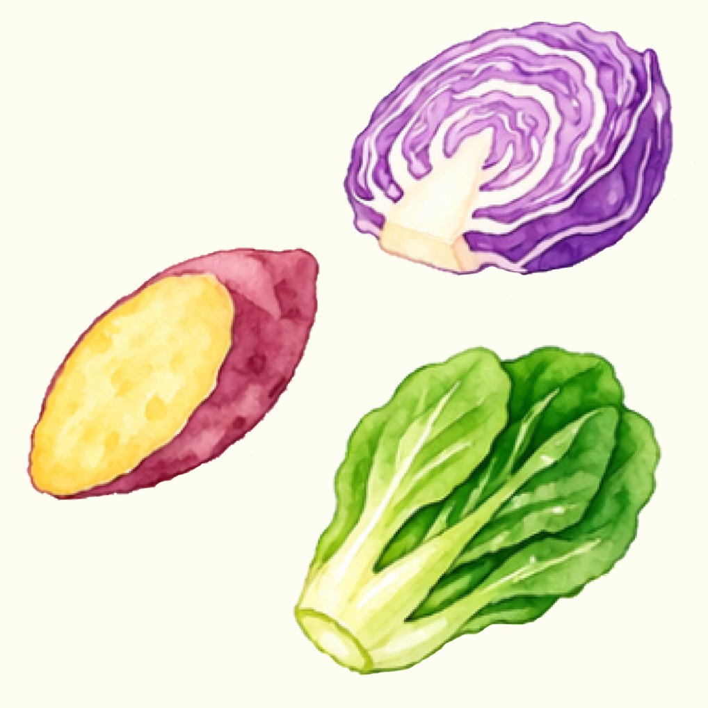 水彩画風カット野菜イラスト22点パック|可愛い野菜クリップアート|SNS・印刷素材に