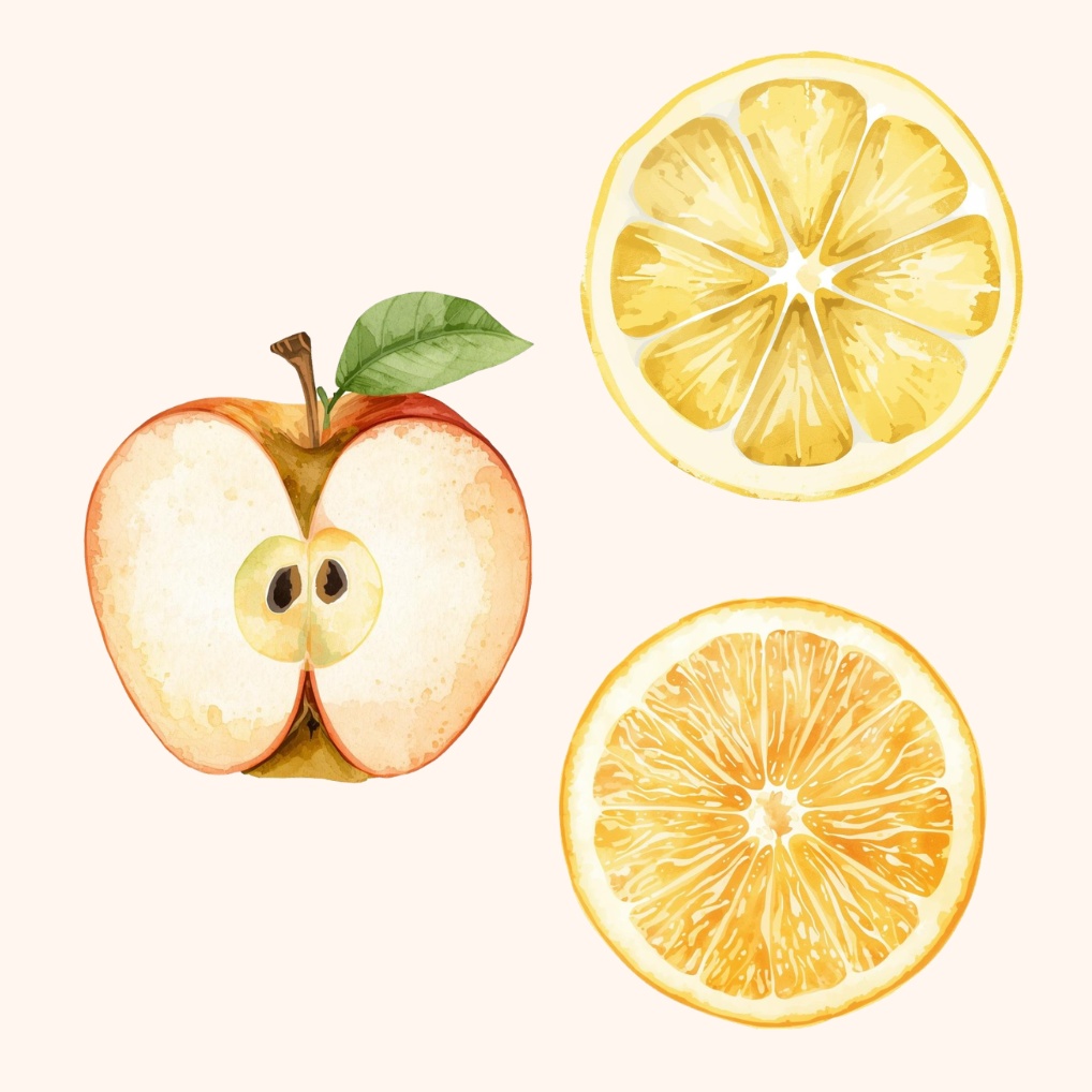 ふんわり水彩タッチのカット果物素材集18種|ナチュラル可愛いフルーツ