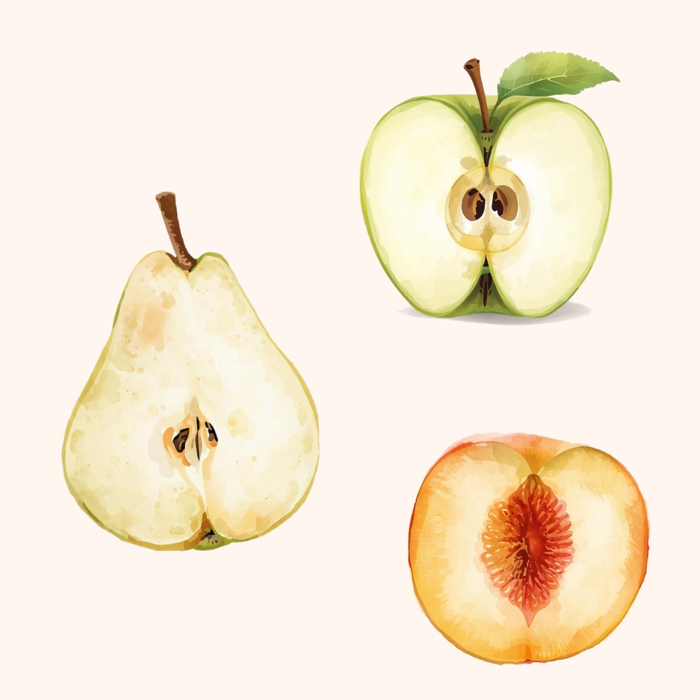 ふんわり水彩タッチのカット果物素材集18種|ナチュラル可愛いフルーツ