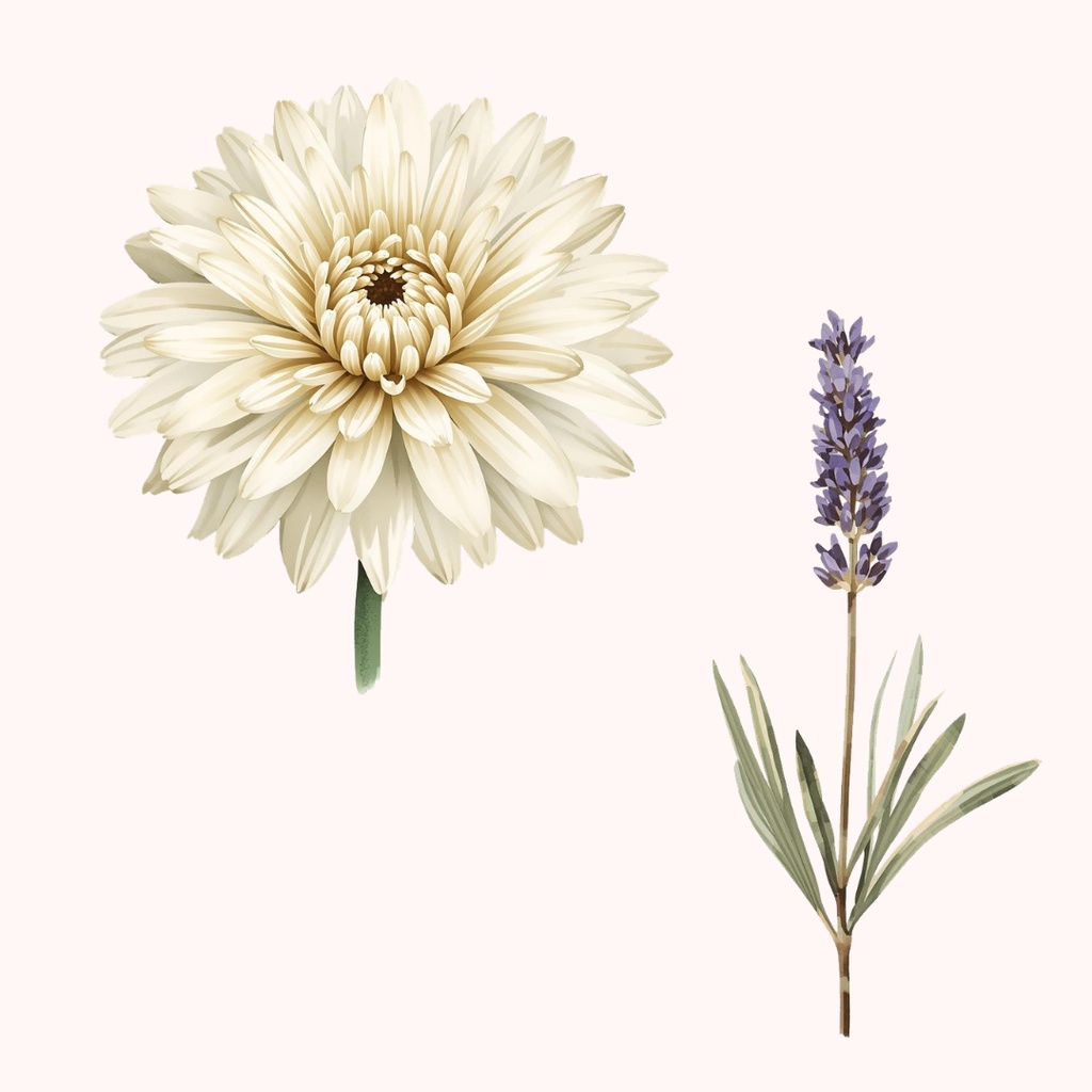 水彩タッチのフラワー素材集16種|アンティーク調のおしゃれな花々