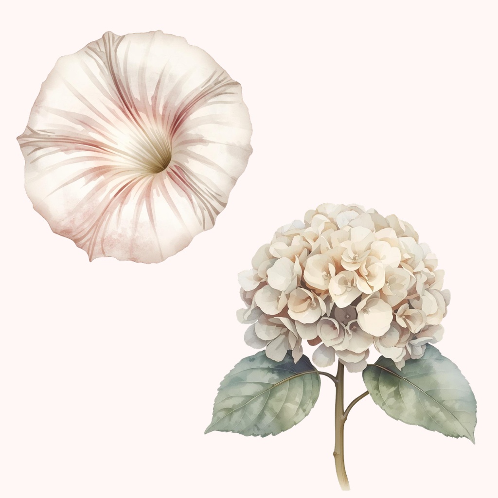 水彩タッチのフラワー素材集16種|アンティーク調のおしゃれな花々