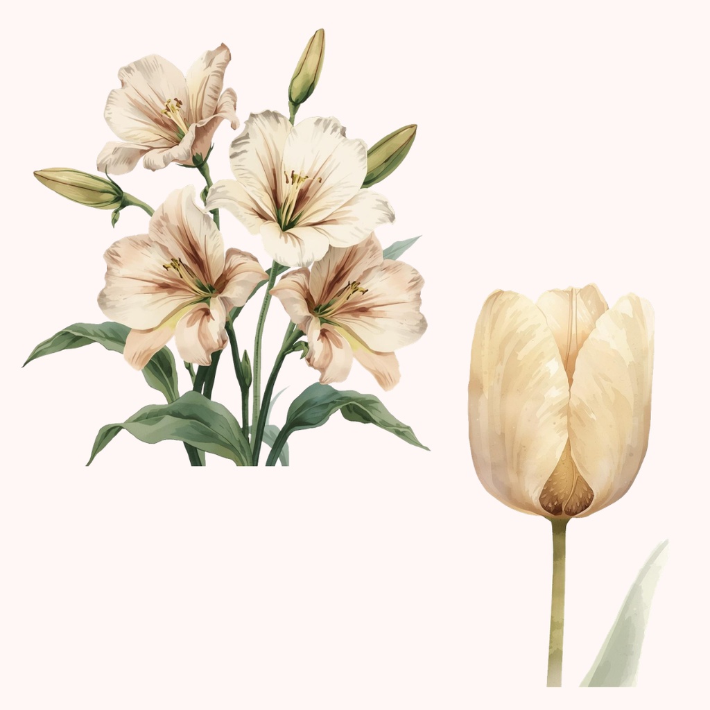 水彩タッチのフラワー素材集16種|アンティーク調のおしゃれな花々