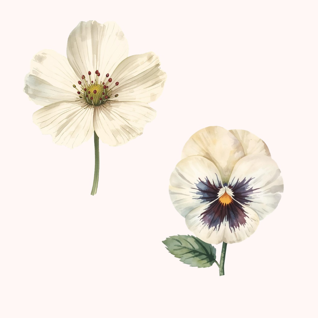 水彩タッチのフラワー素材集16種|アンティーク調のおしゃれな花々