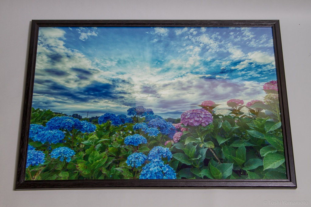 オリジナルプリント販売