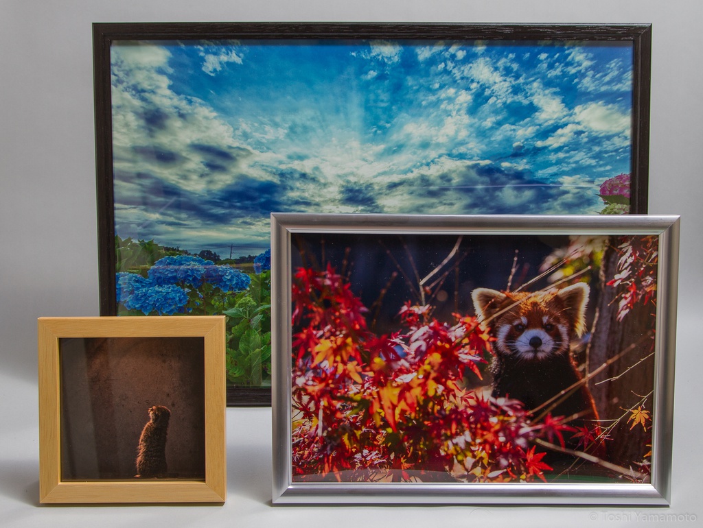 オリジナルプリント販売