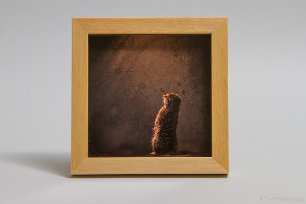 オリジナルプリント販売