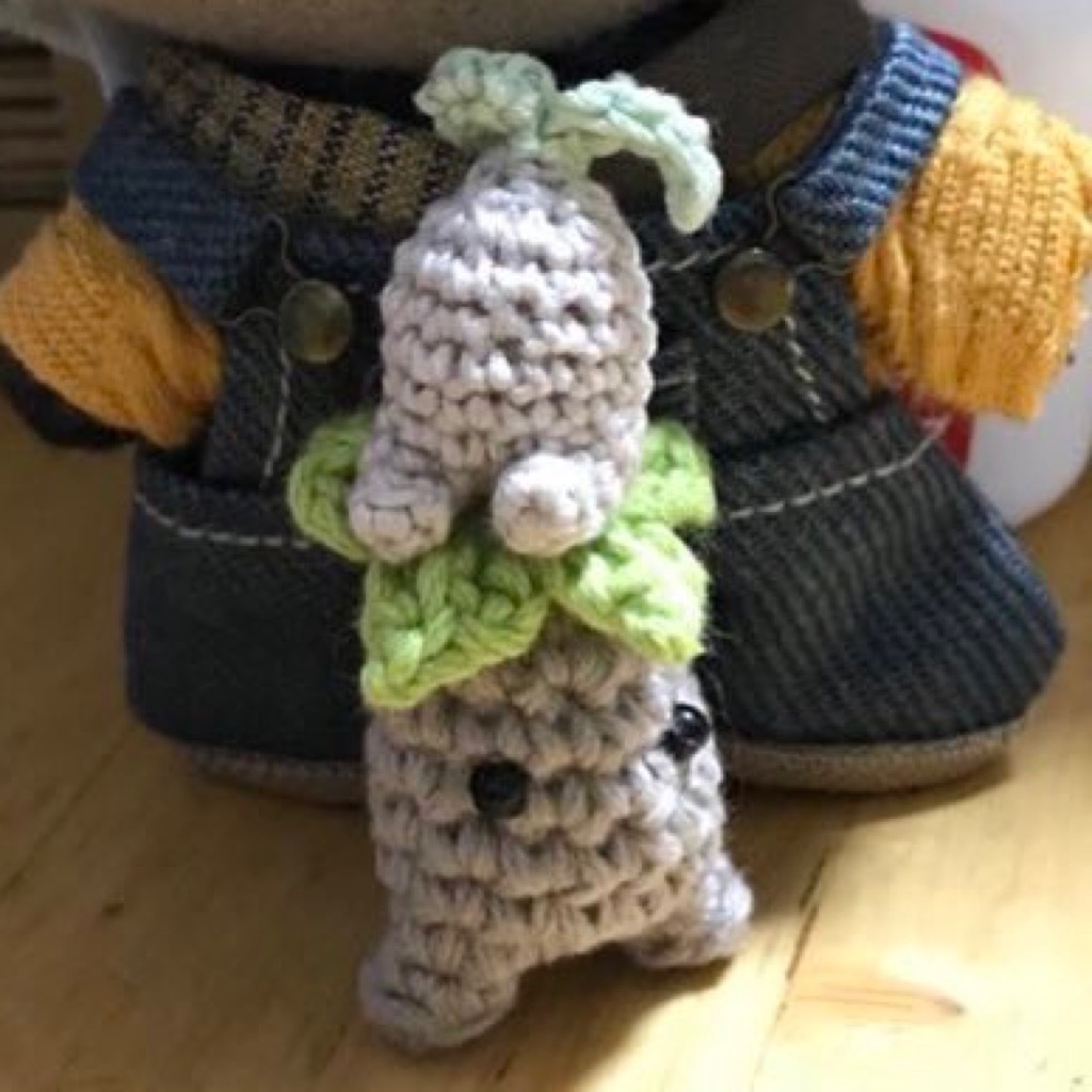 小さな友達 マンゴラドラ