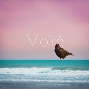 Moiré - John Gorilla(DL版)