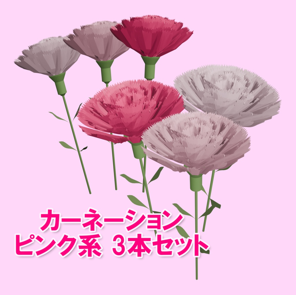 カーネーション ピンク系