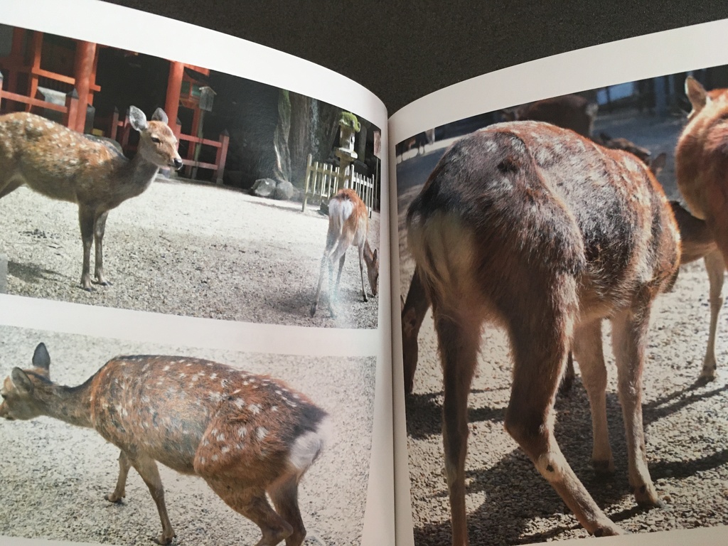 鹿の尻アルバム