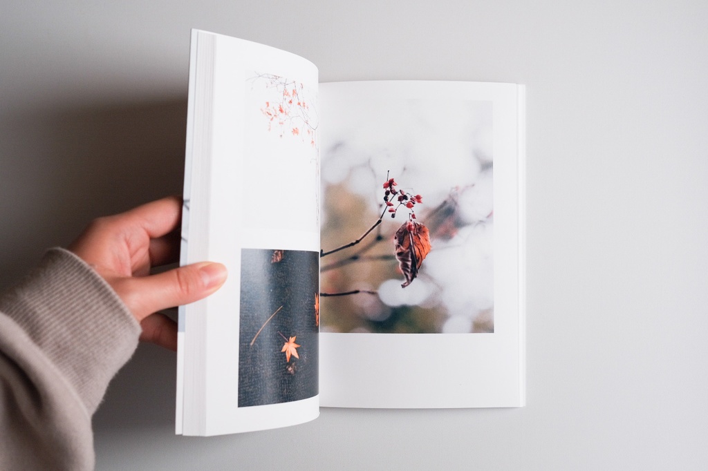 「記憶の欠片」