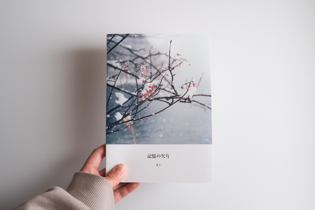 「記憶の欠片」