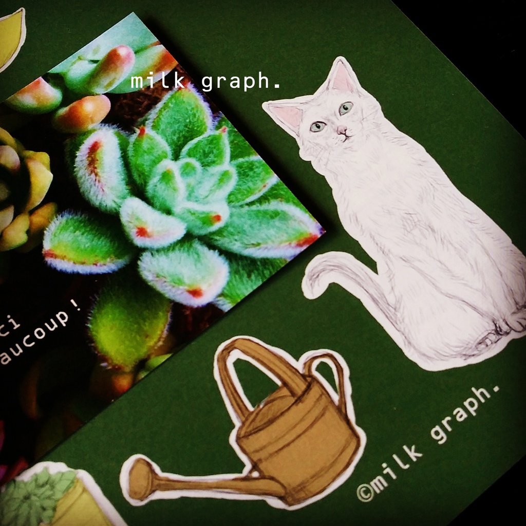 猫と多肉植物(クリア) レターセット
