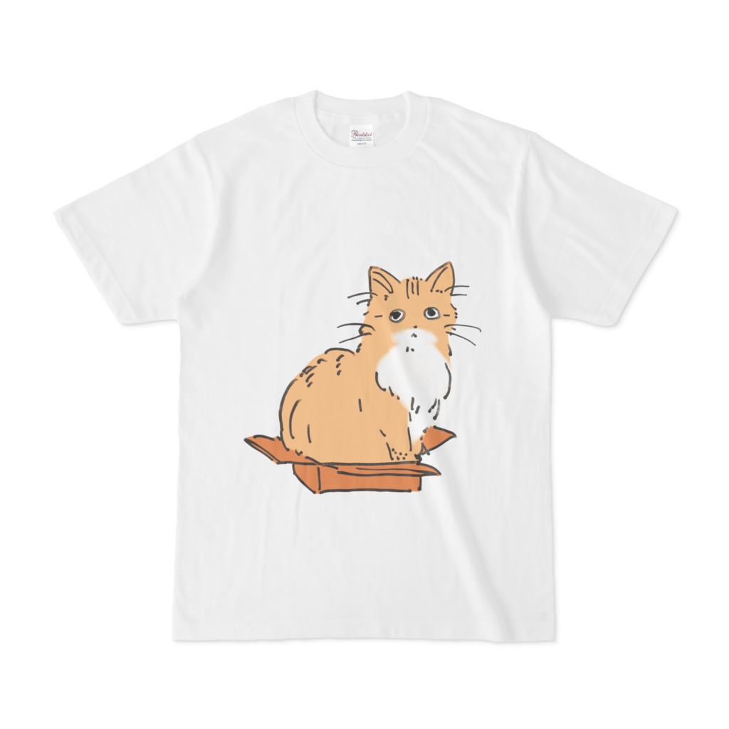 小さい箱に入るネコのTシャツ
