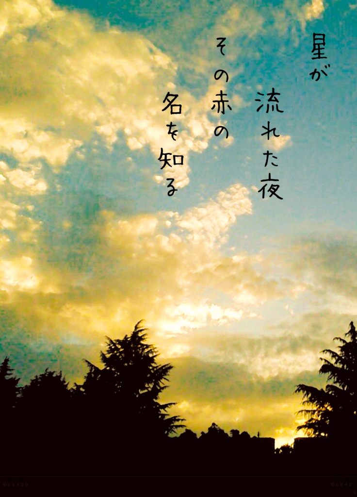 星が流れた夜、その赤の名を知る