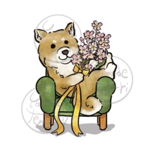 【オハナとボクたち】シリーズ/柴犬ステッカー(桜)