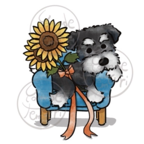 【オハナとボクたち】シリーズ/シュナウザーステッカー(向日葵)