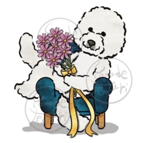 【オハナとボクたち】スタンダードプードルステッカー(コスモス)