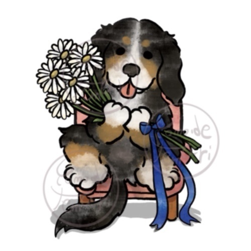 【オハナとボクたち】シリーズ/バーニーズマウンテンドッグステッカー(マーガレット)