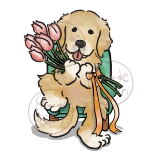 【オハナとボクたち】シリーズ/ゴールデンレトリバーステッカー(チューリップ)
